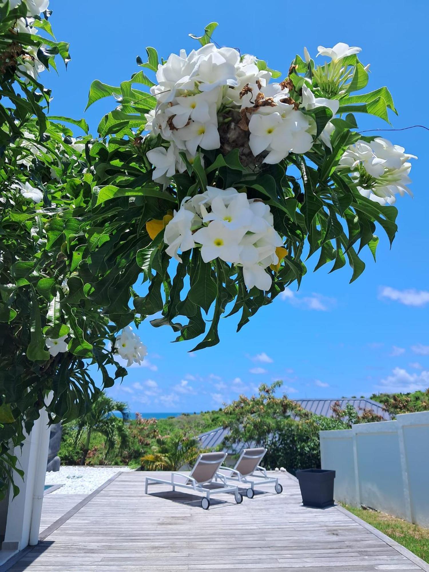 Villa Moai Cul de Sac Esterno foto